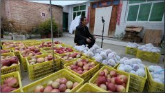 60岁果农直播卖出30万斤苹果，AI养蜂，科技这样