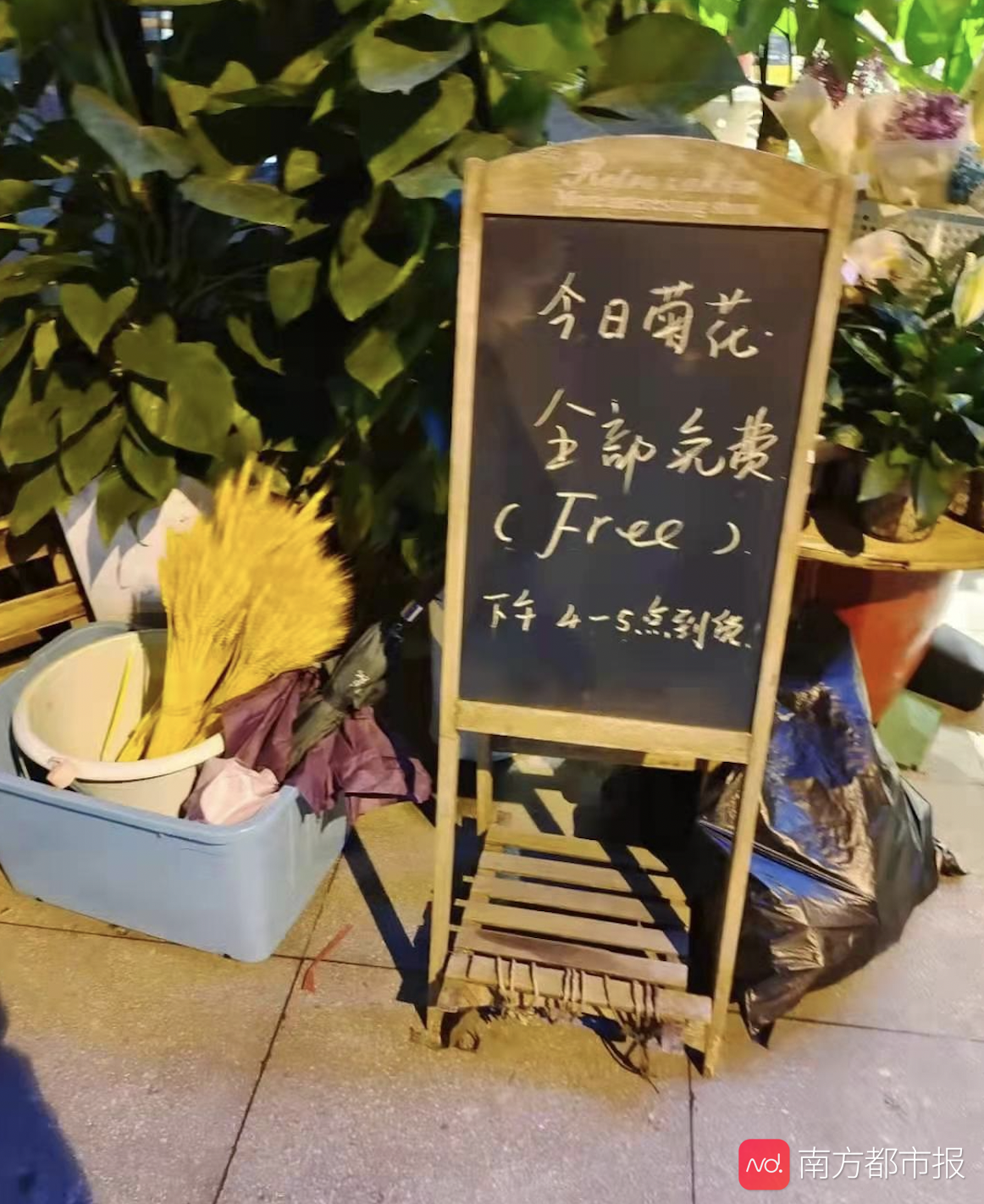 长沙全城送别袁隆平：花店免费派菊花，出租车司机义务接送